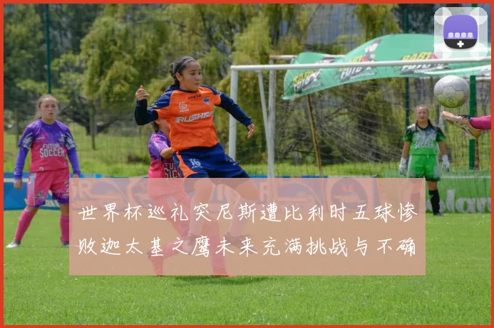 世界杯巡礼突尼斯遭比利时五球惨败迦太基之鹰未来充满挑战与不确定性