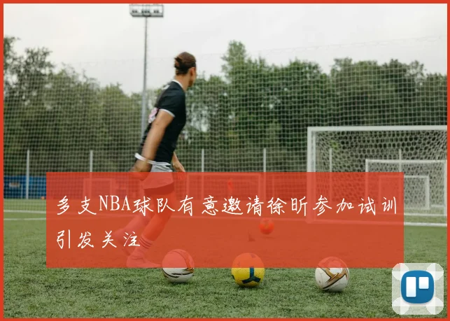 多支NBA球队有意邀请徐昕参加试训引发关注